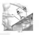 Fig. 04 - Device and method for assisting laparoscopic surgery rule based approach