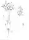 Fig. 06 - Surgical access system and related methods