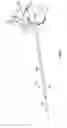 Fig. 07 - Surgical access system and related methods