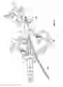 Fig. 10 - Surgical access system and related methods