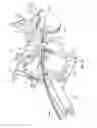 Fig. 11 - Surgical access system and related methods