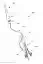 Fig. 01 - Meniscus horn relocation device and method