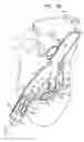 Fig. 08 - ANCHOR-DELIVERY SHEATH TIP