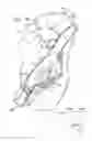 Fig. 33 - ANCHOR-DELIVERY SHEATH TIP