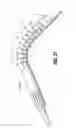 Fig. 25 - Flexible endoscopic stitching devices