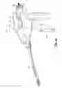 Fig. 49 - Flexible endoscopic stitching devices