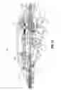 Fig. 52 - Flexible endoscopic stitching devices