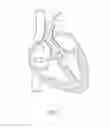 Fig. 02 - Suturing devices and methods for suturing an anatomic valve