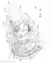 Fig. 04 - Drive arrangements for articulatable surgical instruments