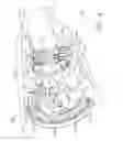 Fig. 10 - Drive arrangements for articulatable surgical instruments