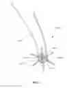 Fig. 08 - SURGICAL FASTENERS AND FASTENING DEVICES