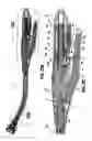 Fig. 41 - Surgical stapling device for performing circular anastomoses