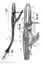 Fig. 50 - Surgical stapling device for performing circular anastomoses