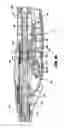 Fig. 81 - Surgical stapling device for performing circular anastomoses