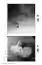 Fig. 08 - Occluding device and method of occluding fluid flow through a body vessel
