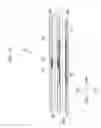 Fig. 14 - Endoscopic surgical device and overtube