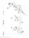 Fig. 20 - Endoscopic surgical device and overtube