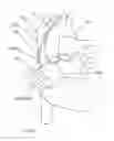 Fig. 16 - Methods and devices for puncturing tissue