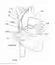 Fig. 17 - Methods and devices for puncturing tissue