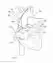 Fig. 18 - Methods and devices for puncturing tissue