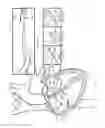 Fig. 22 - Methods and devices for puncturing tissue