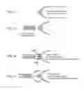 Fig. 07 - ARTIFICIAL INSEMINATION