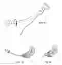 Fig. 09 - ARTIFICIAL INSEMINATION
