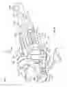 Fig. 40 - Apparatus and methods for bone repair preparation