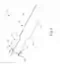 Fig. 07 - Electrosurgical instrument with integral tissue removal feature