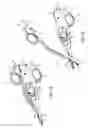 Fig. 02 - TISSUE SEALING AND CUTTING INSTRUMENT WITH LOCKING FEATURES