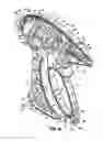Fig. 09 - Vessel sealer and divider for use with small trocars and cannulas