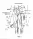 Fig. 03 - System and method for a catheter