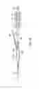 Fig. 08 - System and method for a catheter