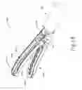 Fig. 19 - Electrosurgical instrument with removable jaw components