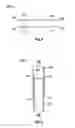 Fig. 06 - MULTIFUNCTIONAL TELESCOPING CLEANING DEVICE