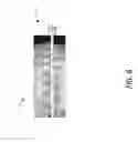 Fig. 07 - System and method for fabricating a dental restoration