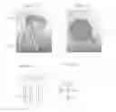 Fig. 03 - Solid Forms for Tissue Repair