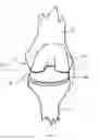 Fig. 02 - Apparatus and methods for balancing a joint