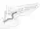 Fig. 01 - Endoluminal device