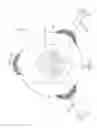 Fig. 17 - Delivery system for preloaded fenestrated device