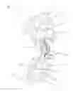 Fig. 01 - BRACE WITH INCLINATION ADJUSTMENT