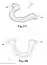 Fig. 03 - A Disposable and Universal Mouth Guard