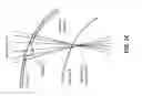Fig. 06 - Wavefront correction for ophthalmic surgical lasers