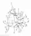 Fig. 03 - Apparatuses and methods for making absorbent articles