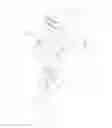 Fig. 12 - Removable leg rest for wheelchairs