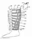 Fig. 01 - Compression garment apparatus