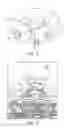 Fig. 05 - Massaging device