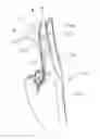 Fig. 01 - Wearable sensing and actuator systems, and methods of use