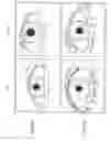 Fig. 02 - Method of enhancing hair growth