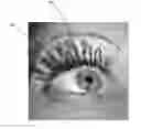 Fig. 01 - SYSTEM AND METHOD FOR EXTENDING, THICKENING AND ENHANCING NATURAL OR ARTIFICIAL HAIR